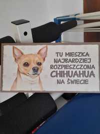 Tabliczka Tu mieszka najbardziej rozpieszczona chihuahua