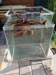 Akwarium kostka 35x35x35