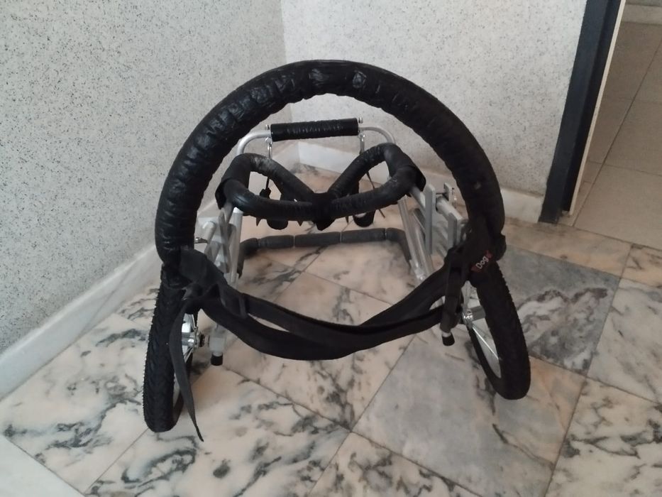 Cadeira de rodas para cão.