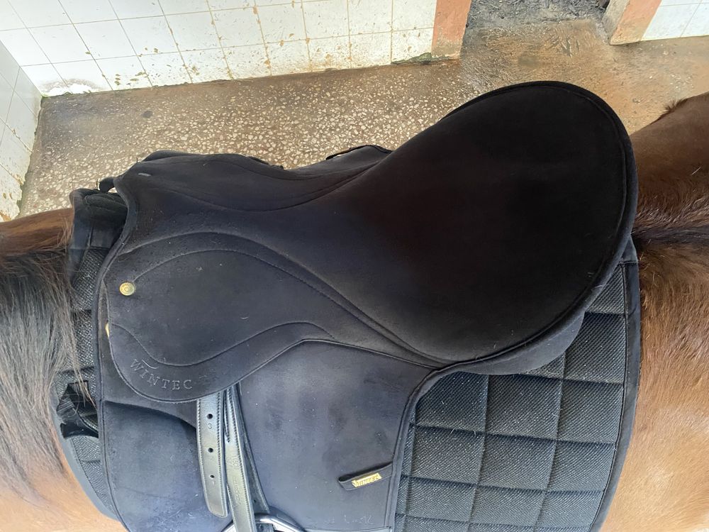 Sela Winrec Isabel Werth 17.5’´