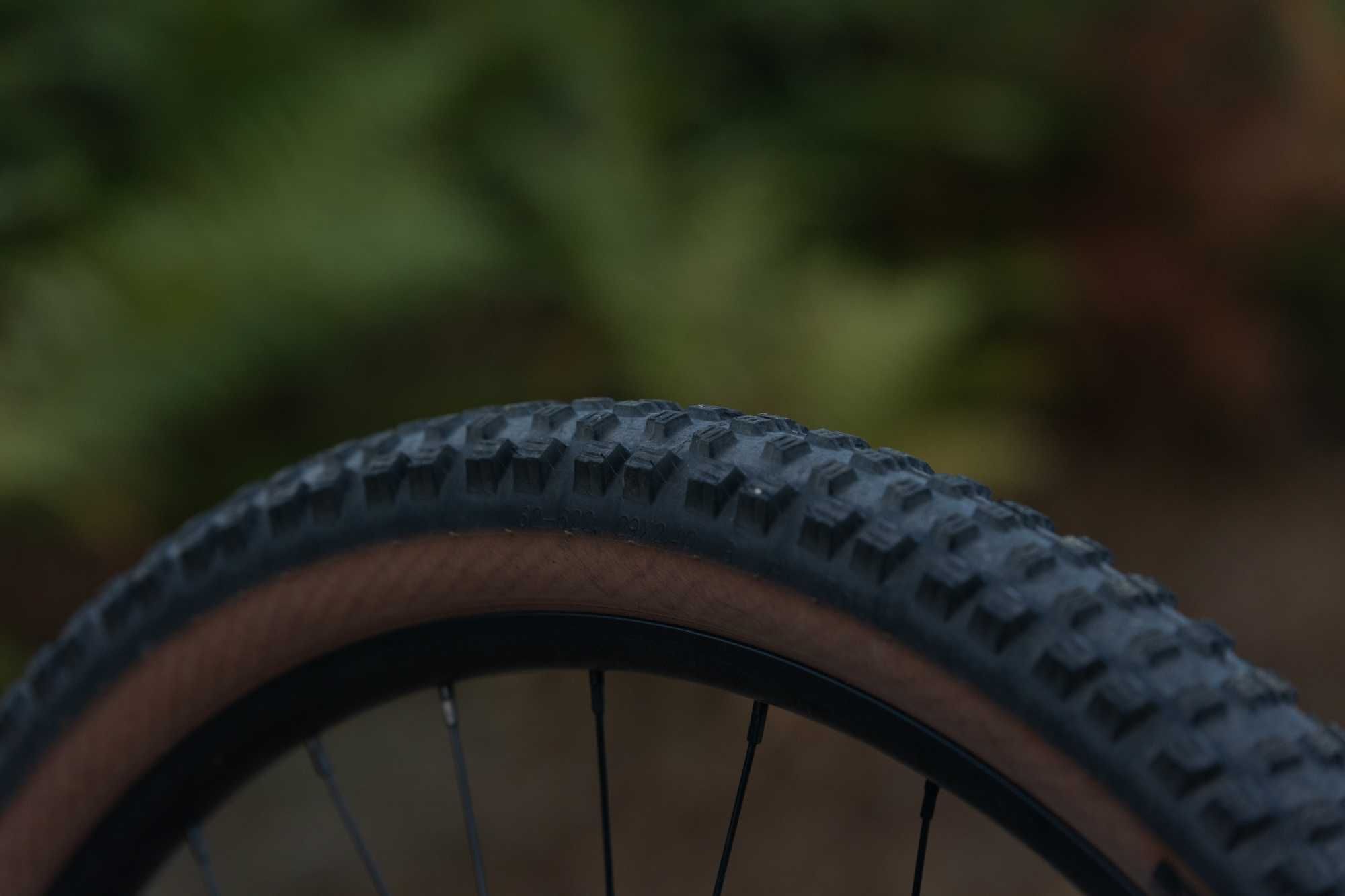Canyon - Grand Canyon 8 2024 (M)