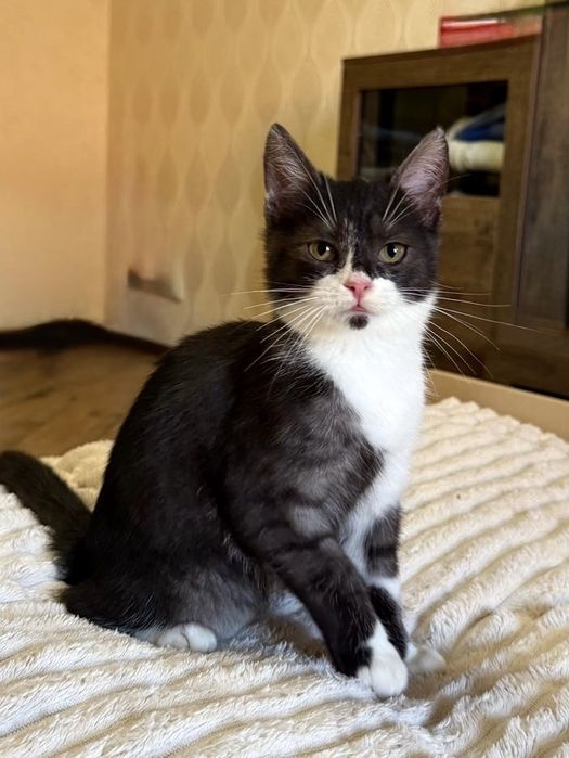 Два хлопчика шукають родину