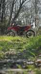Gas Gas EC 450 - 2007r - zarejestrowany-ubezpieczony A2