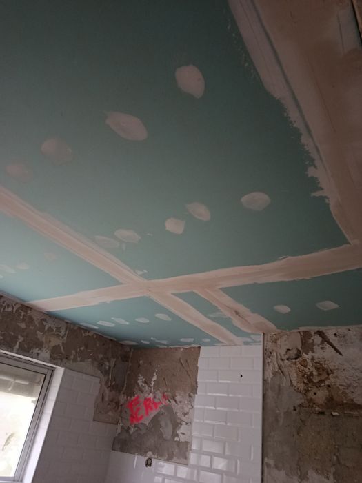 Tetos falsos e divisórias