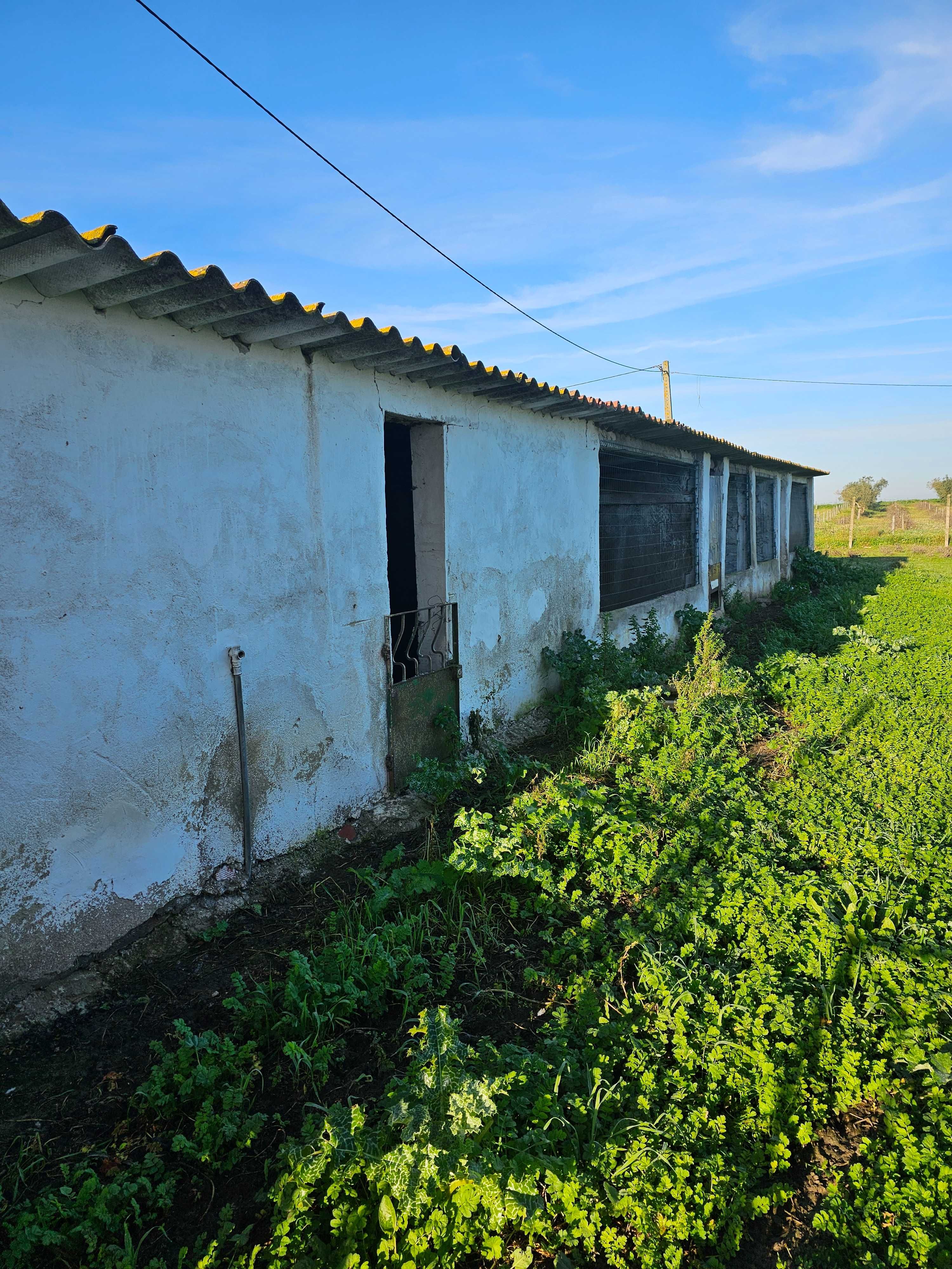 Quinta 2900 mil m2 NEGOCIÁVEL