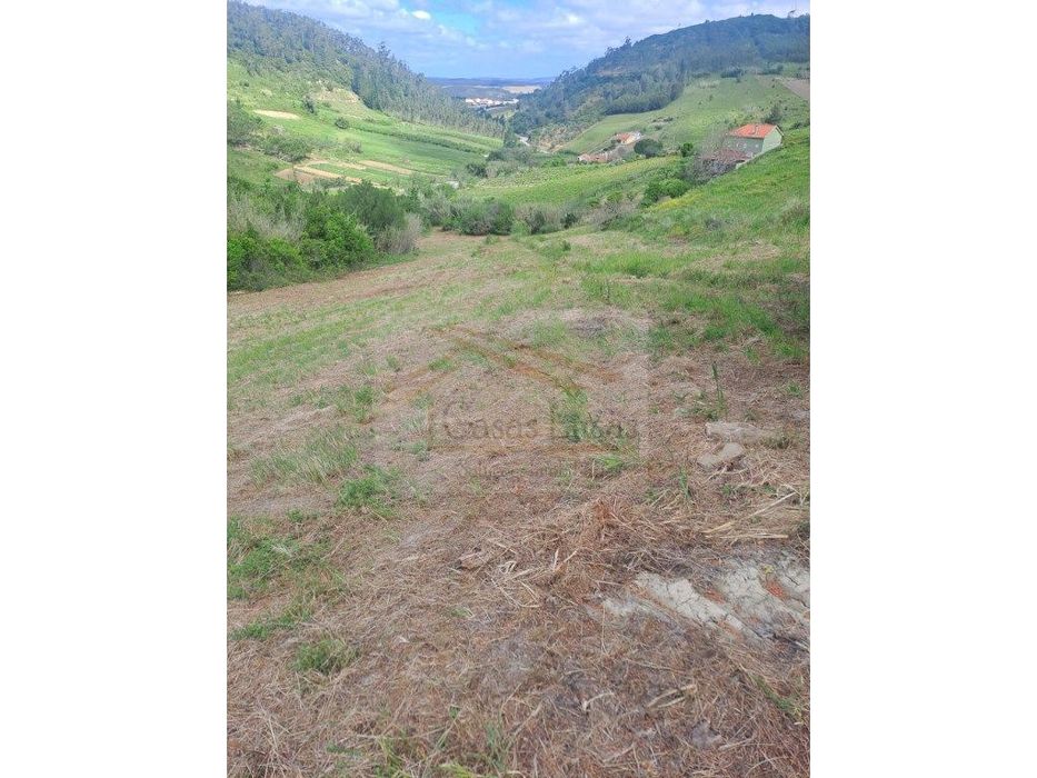 Terreno Rustico