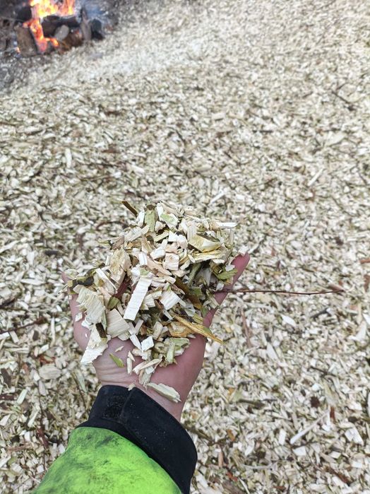 Zrębka drzewna transport w cenie