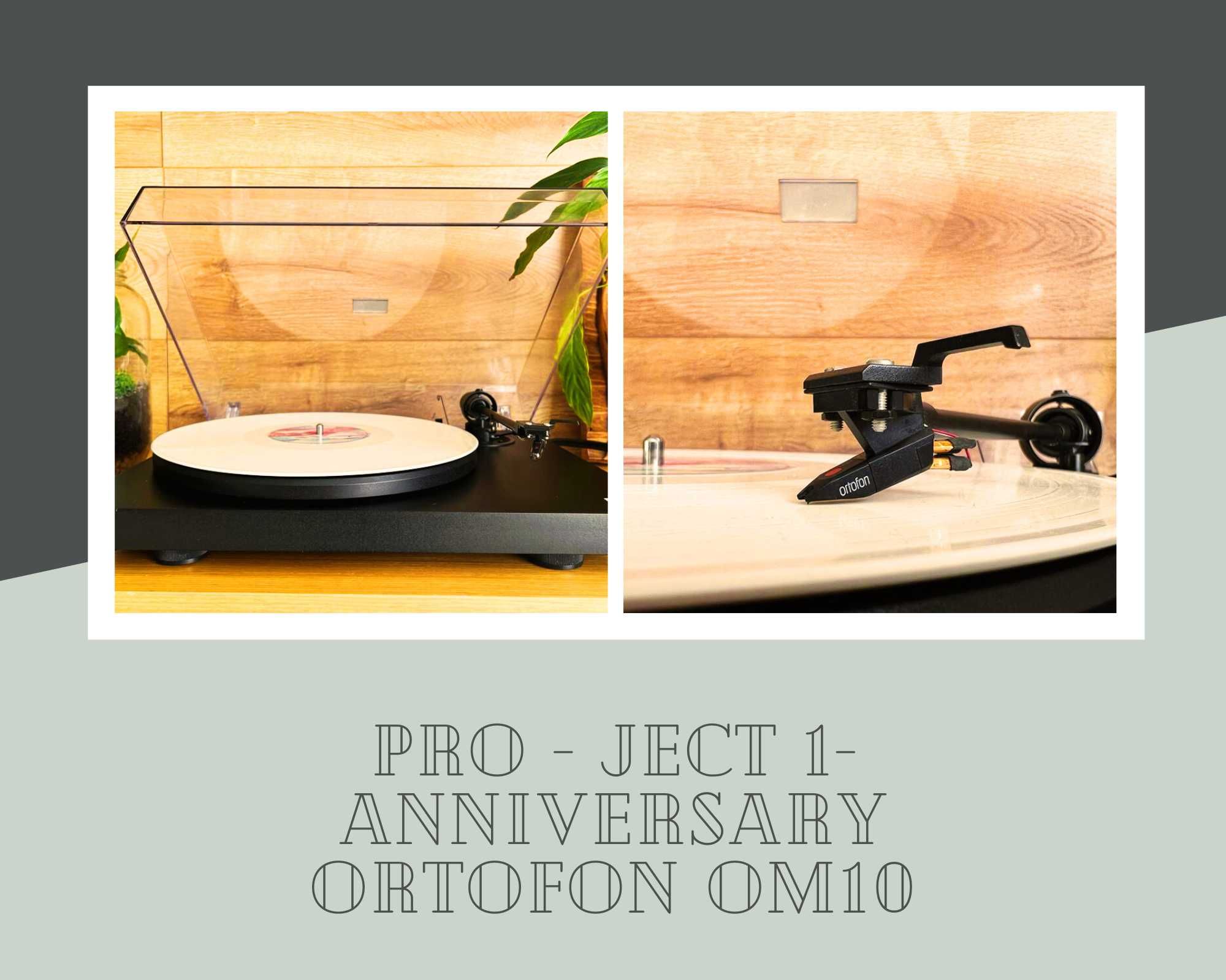 Gramofon Limitowany PRO-JECT 1-Anniversary + Ortofon OM 10