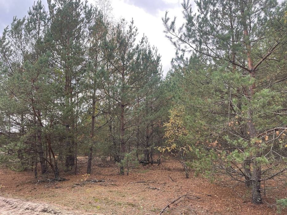 Продається земельна ділянка в с. Абрамівка, Київська область