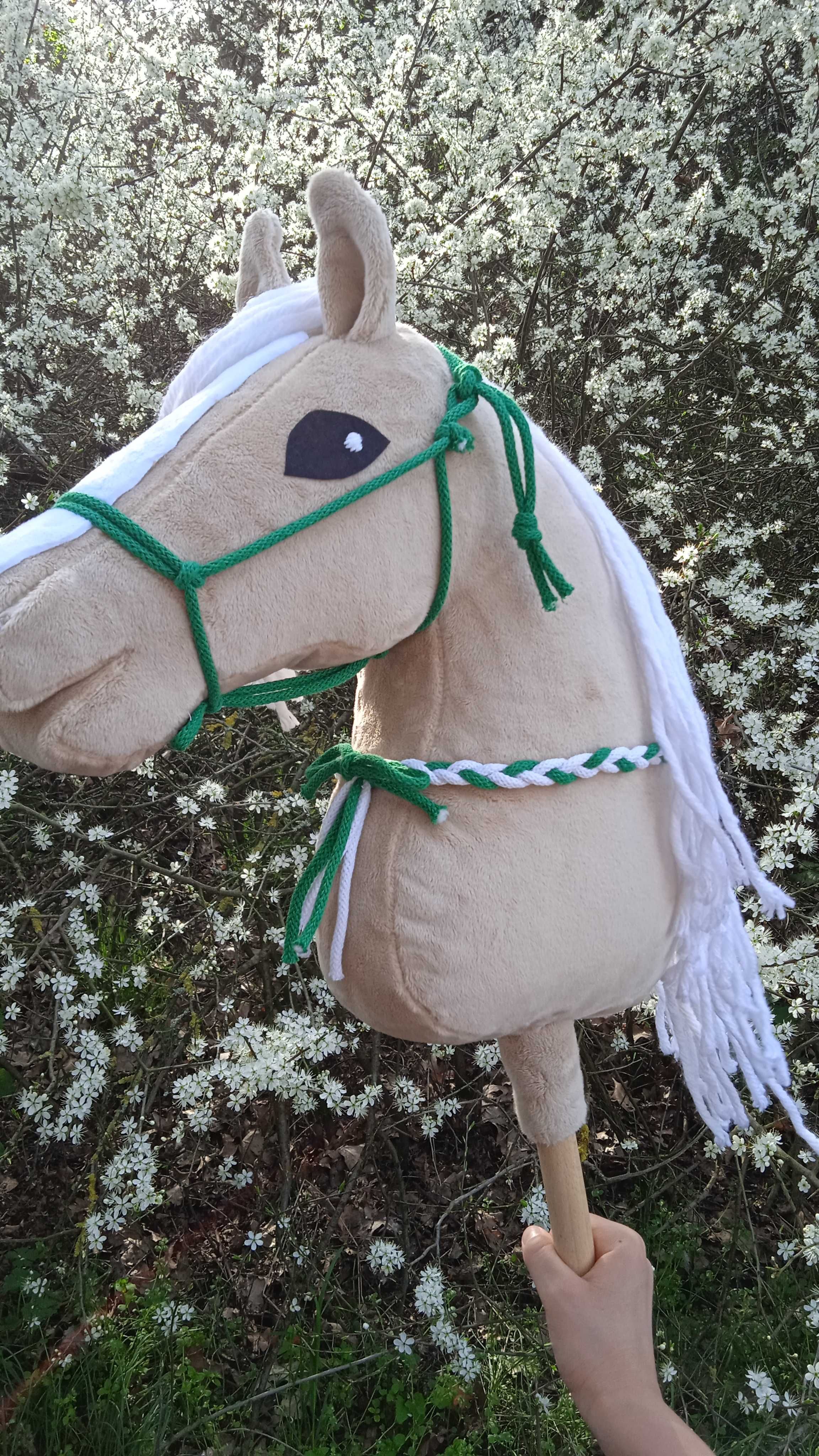 Hobby horse izabelowaty + halter + cordeo