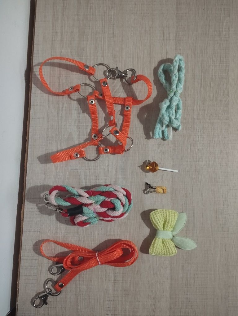 Hobby horse ze sprzętem na sprzedaż!