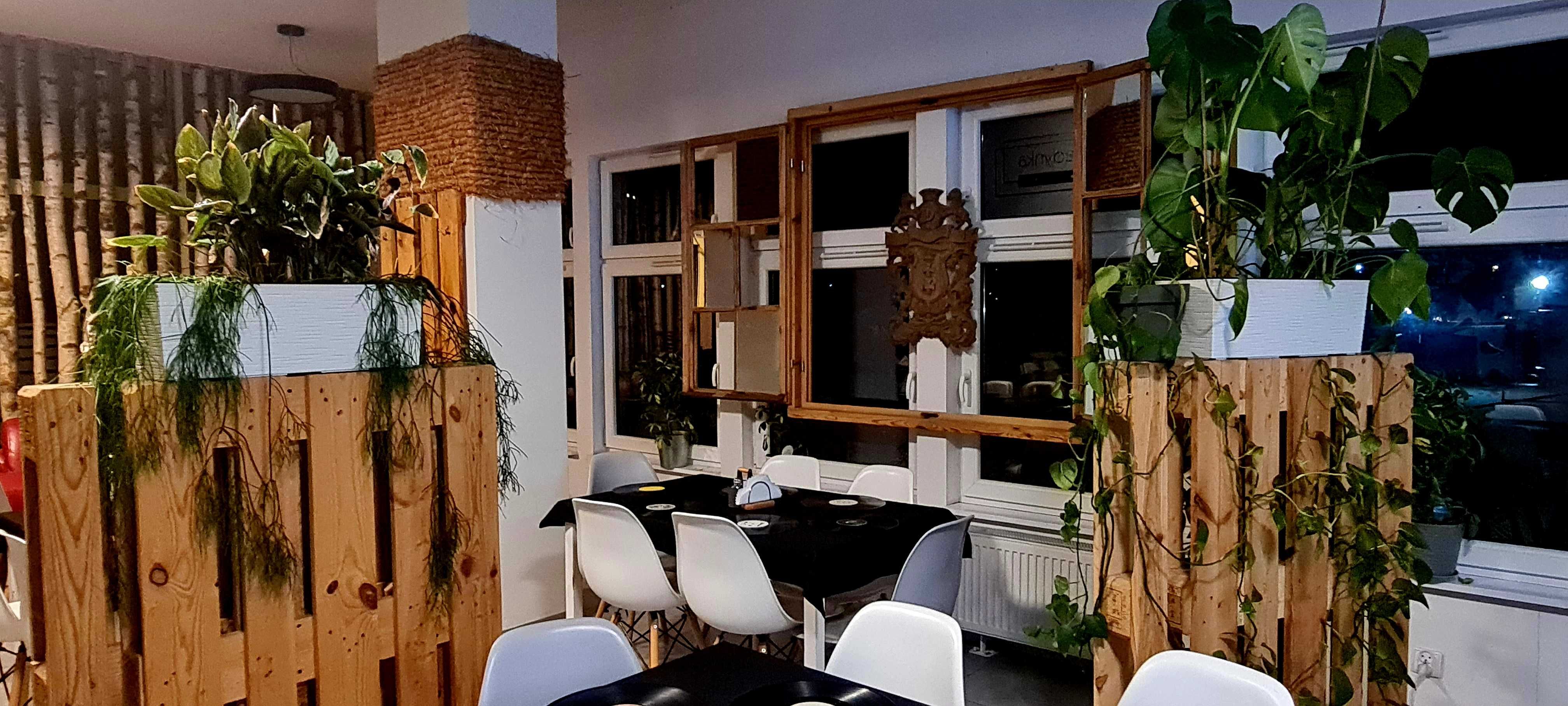 Odstąpie lokal gastronomiczny w Hostelu