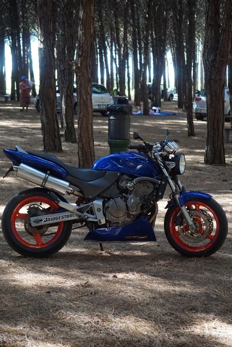 Hornet 600 25 kw