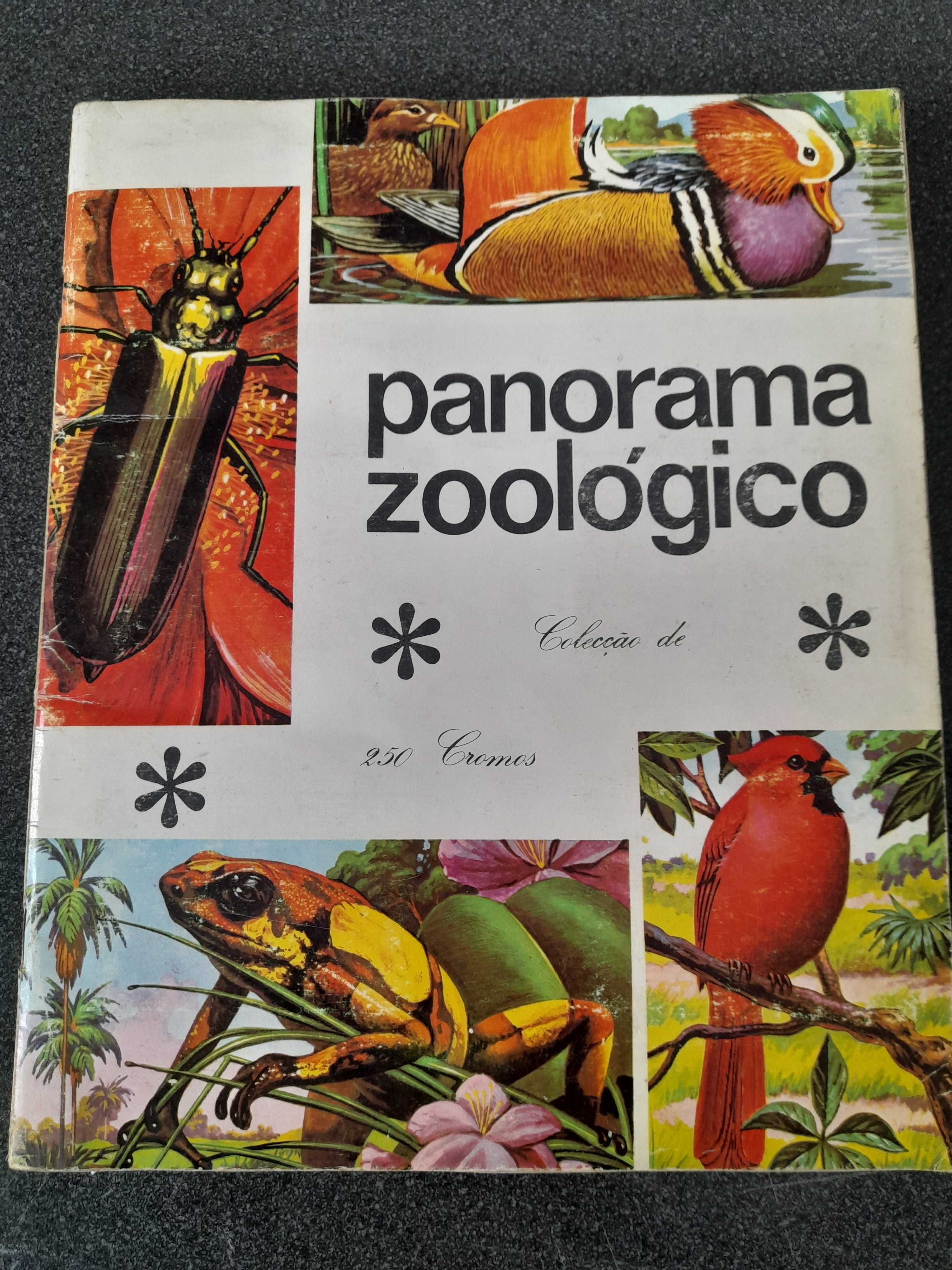 panorama zoologico