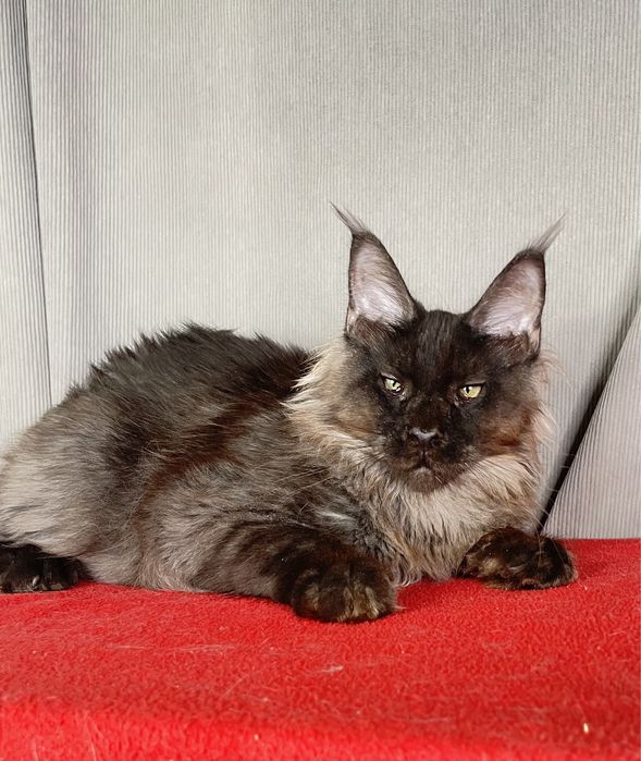 Черный дым мальчик