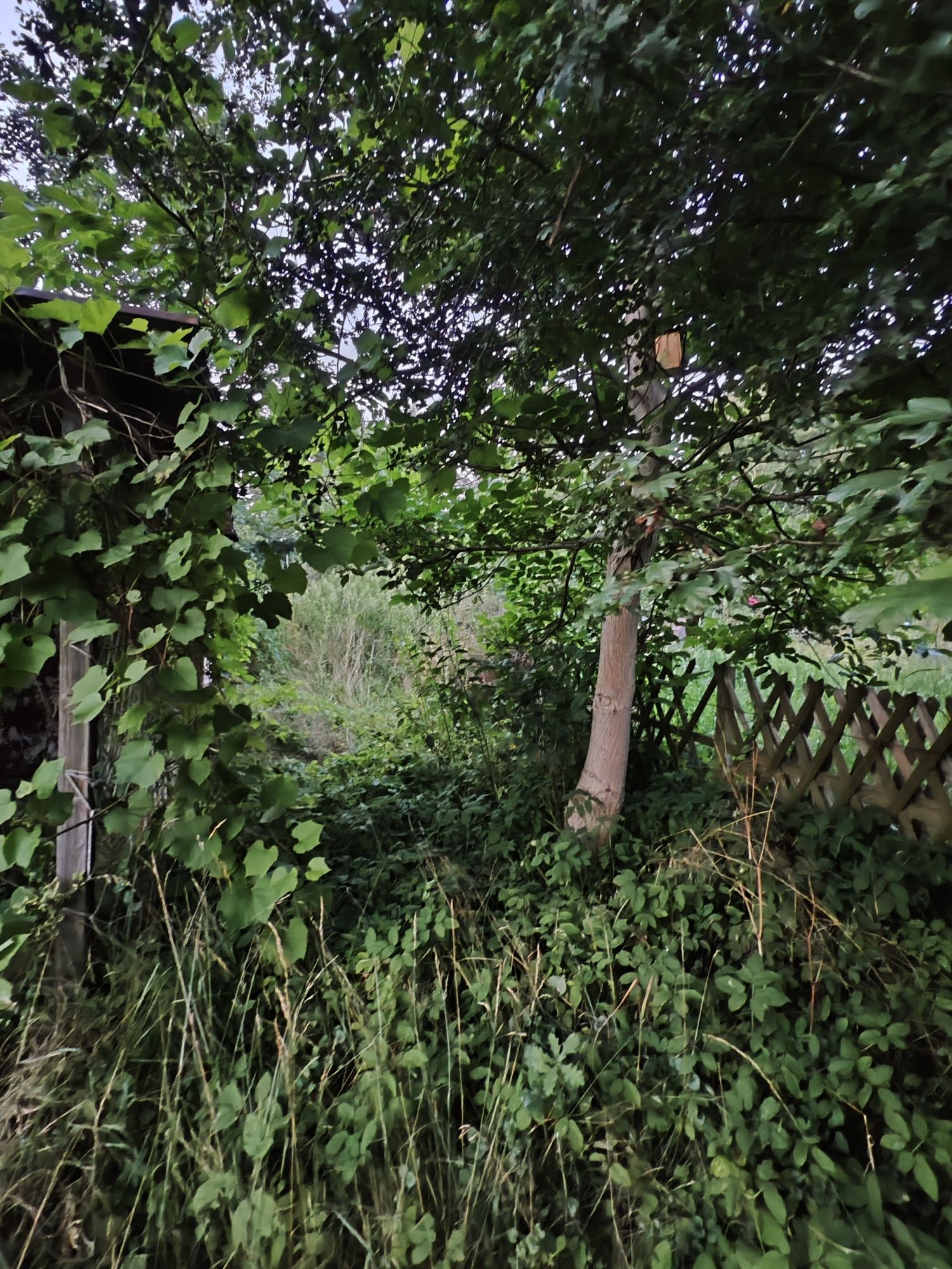 Działka ROD Nad Widawą
