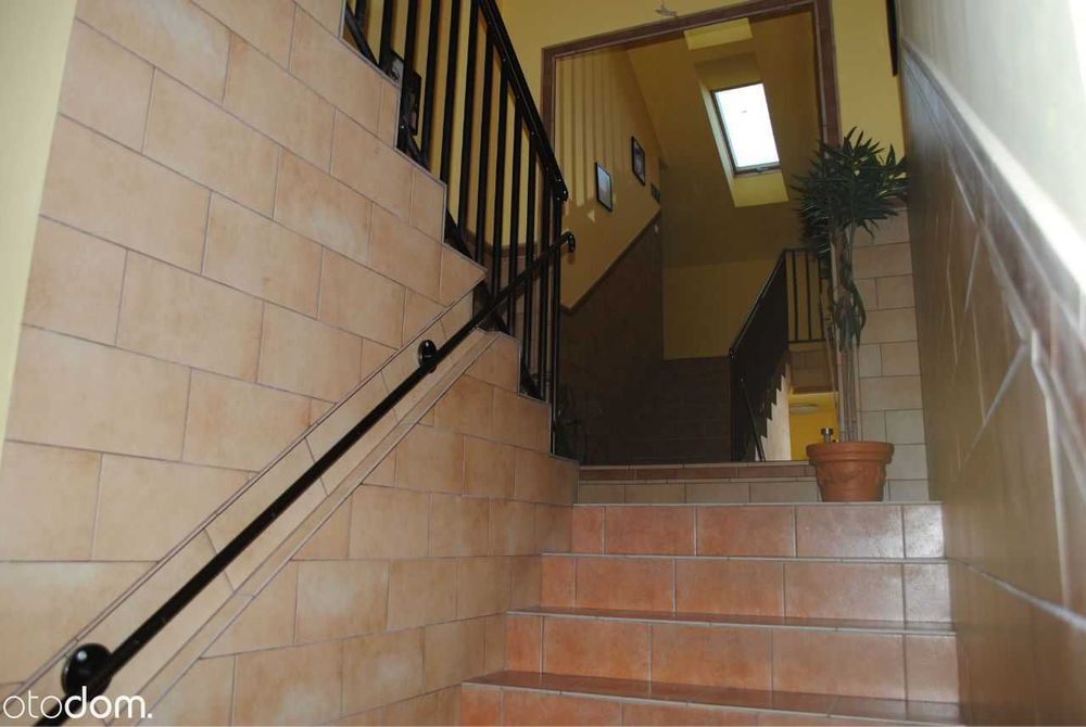 Wynajmę lokal na biuro lub usługi Oława