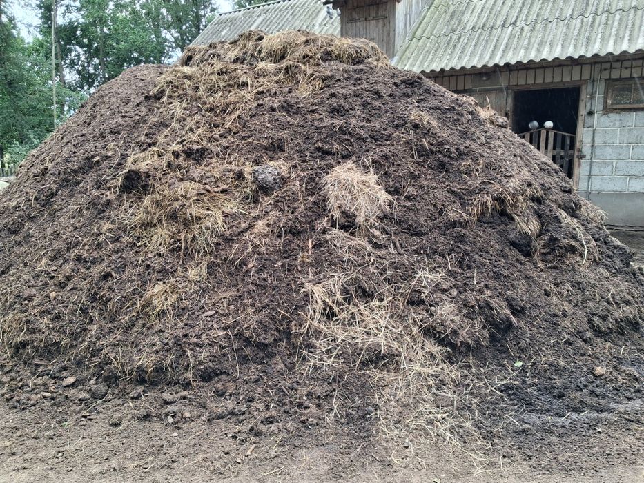 Obornik krowi bydlęcy