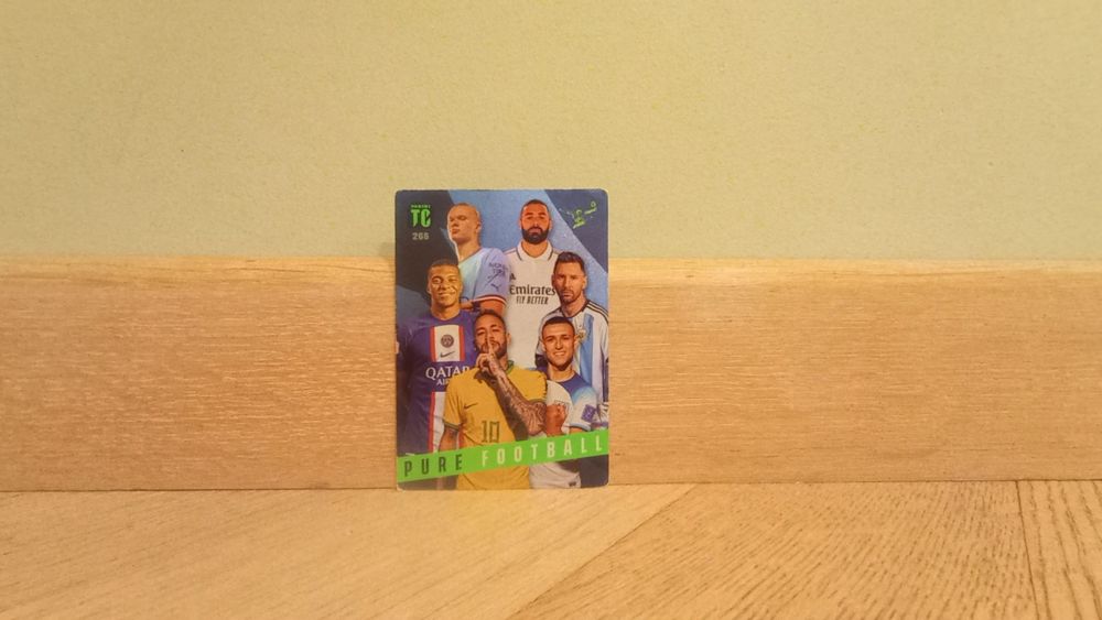 Karta Pure Football, piłkarska, Top Class Panini 266
