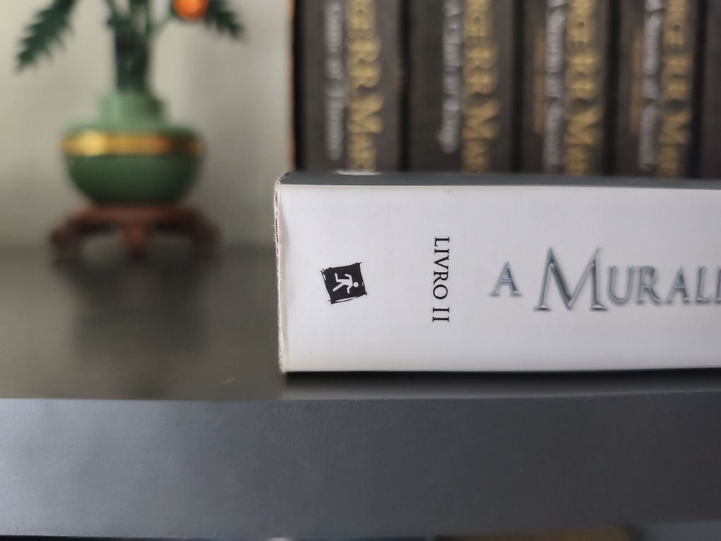 A Muralha de Gelo - George R. R. Martin