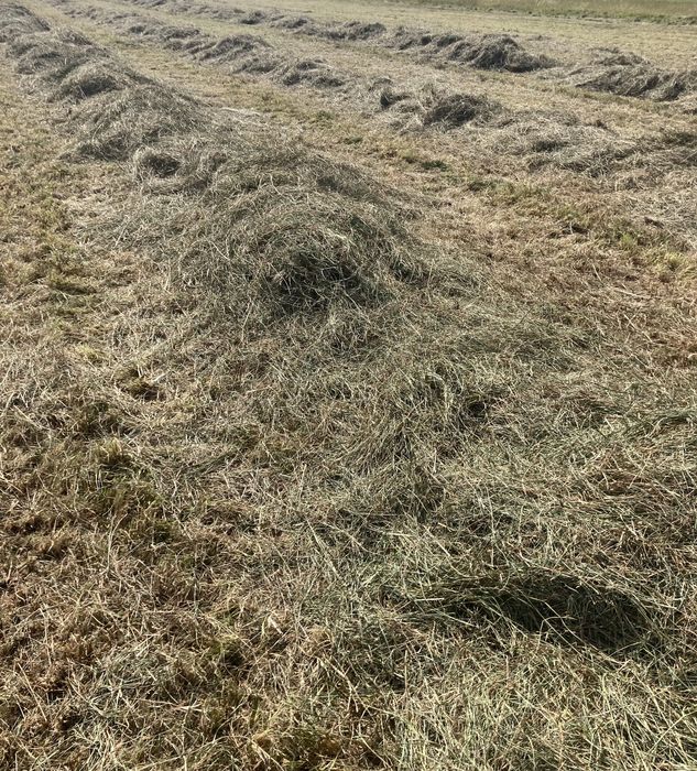 Sprzedam siano w kostkach