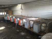 Coelheiras metalicas