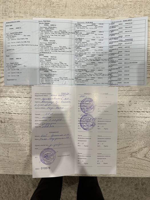 ЗСЛ для в’язки