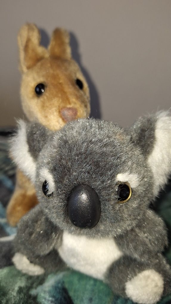 Kangur Koala - maskotki z Australii