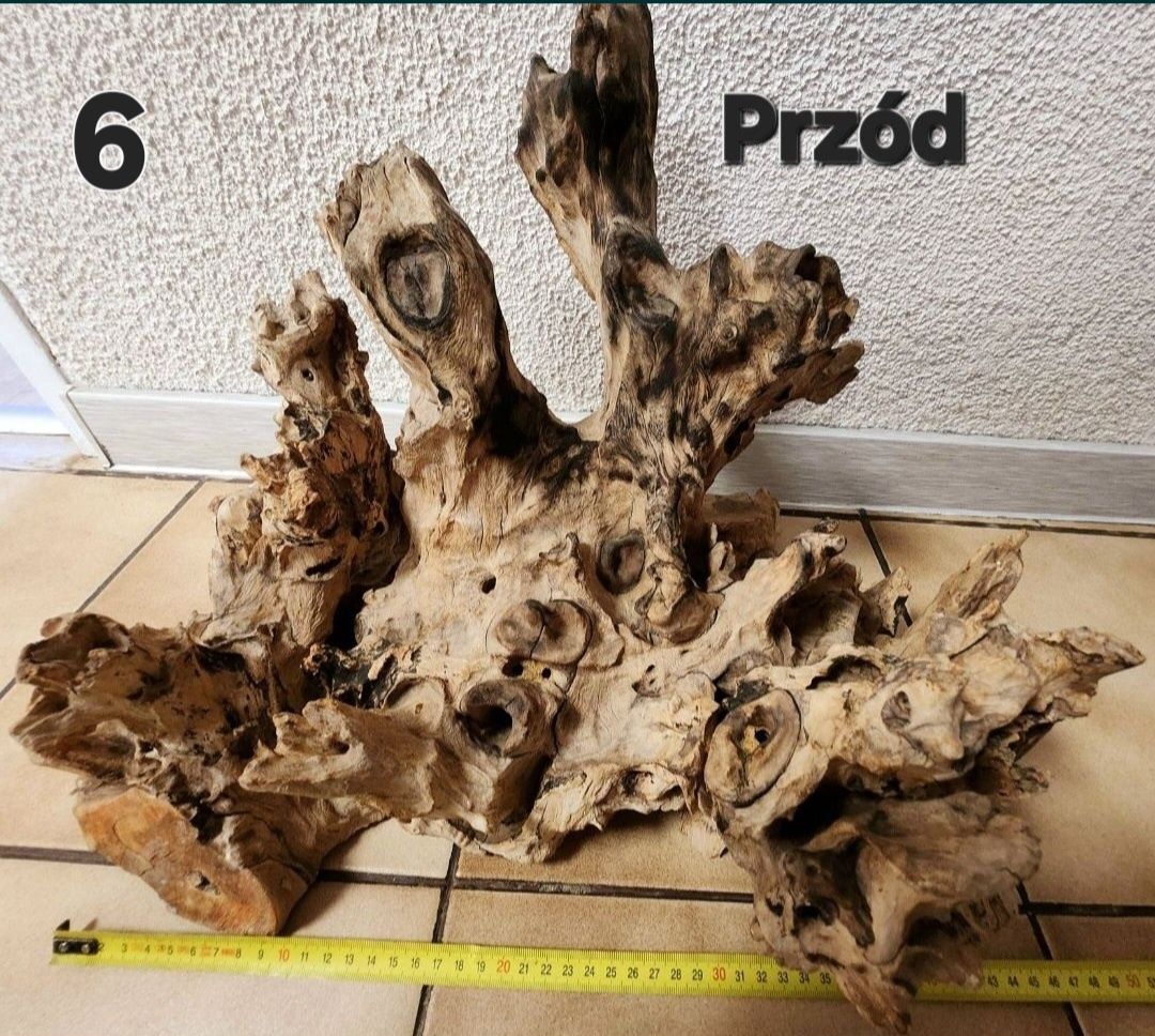 Korzenie do akwarium