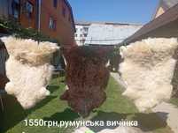 Овечі вичінені шкурки