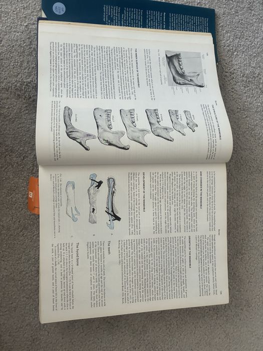 Livro Cunningham’s Textbook of Anatomy