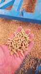 Pellet sosnowy dostawa