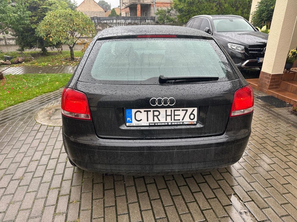 Audi A3 8P 1.9 TDI Polecam