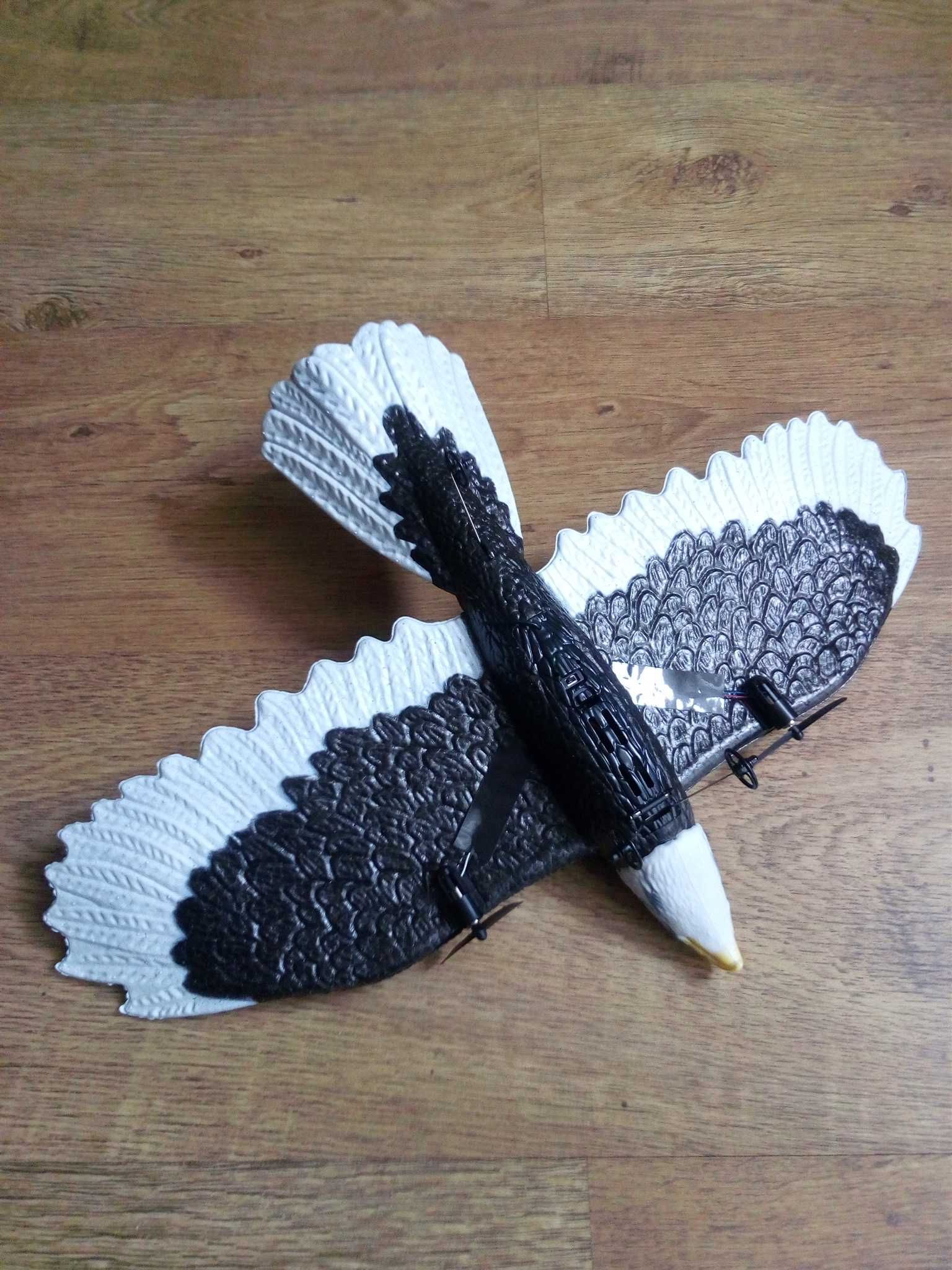 Model Bielik  RC 2,4G 2k