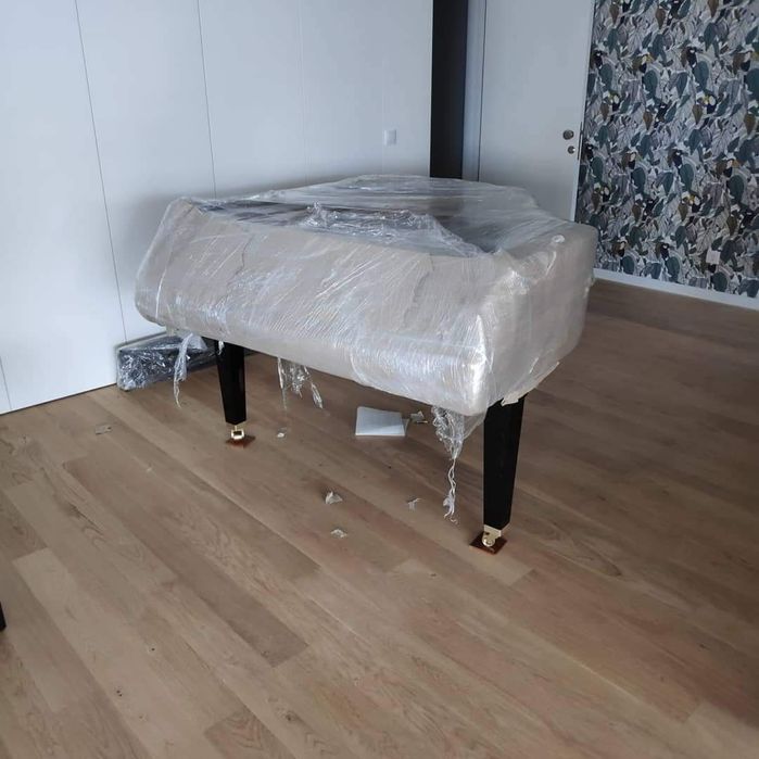 Empresa de Mudanças e Armazenamento