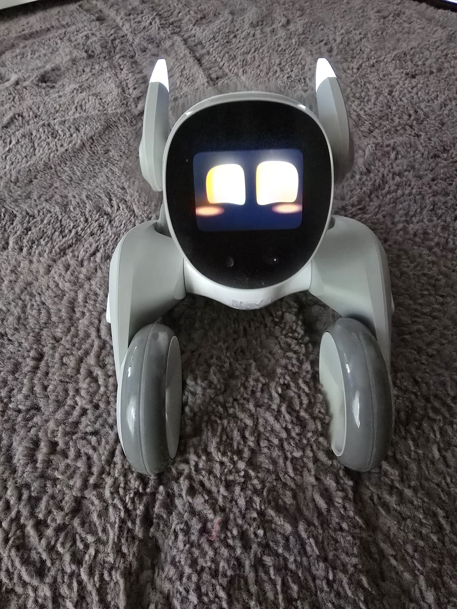 LOONA inteligentny robot AI