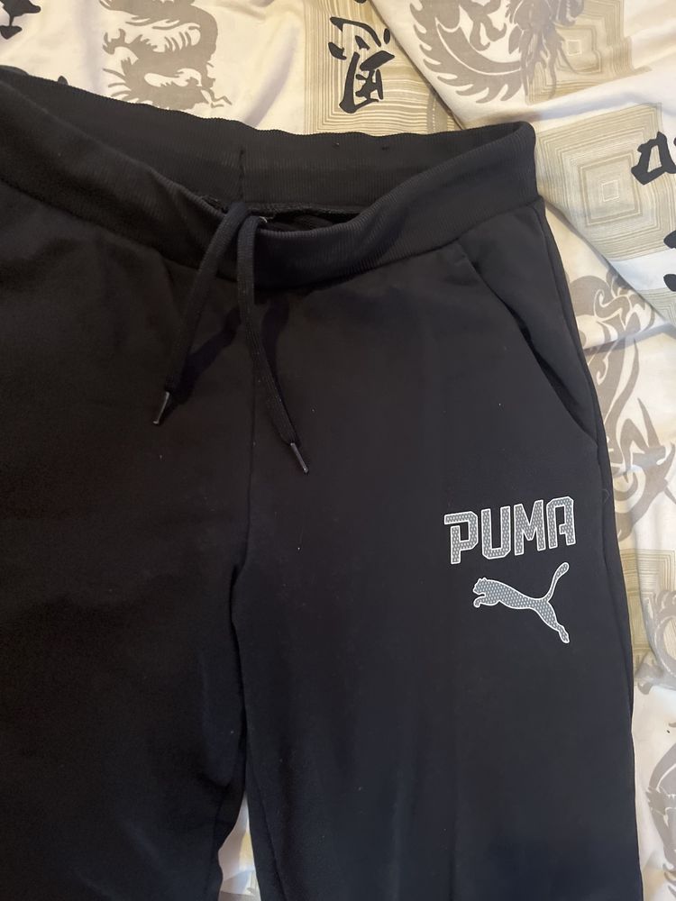 Puma оригинал