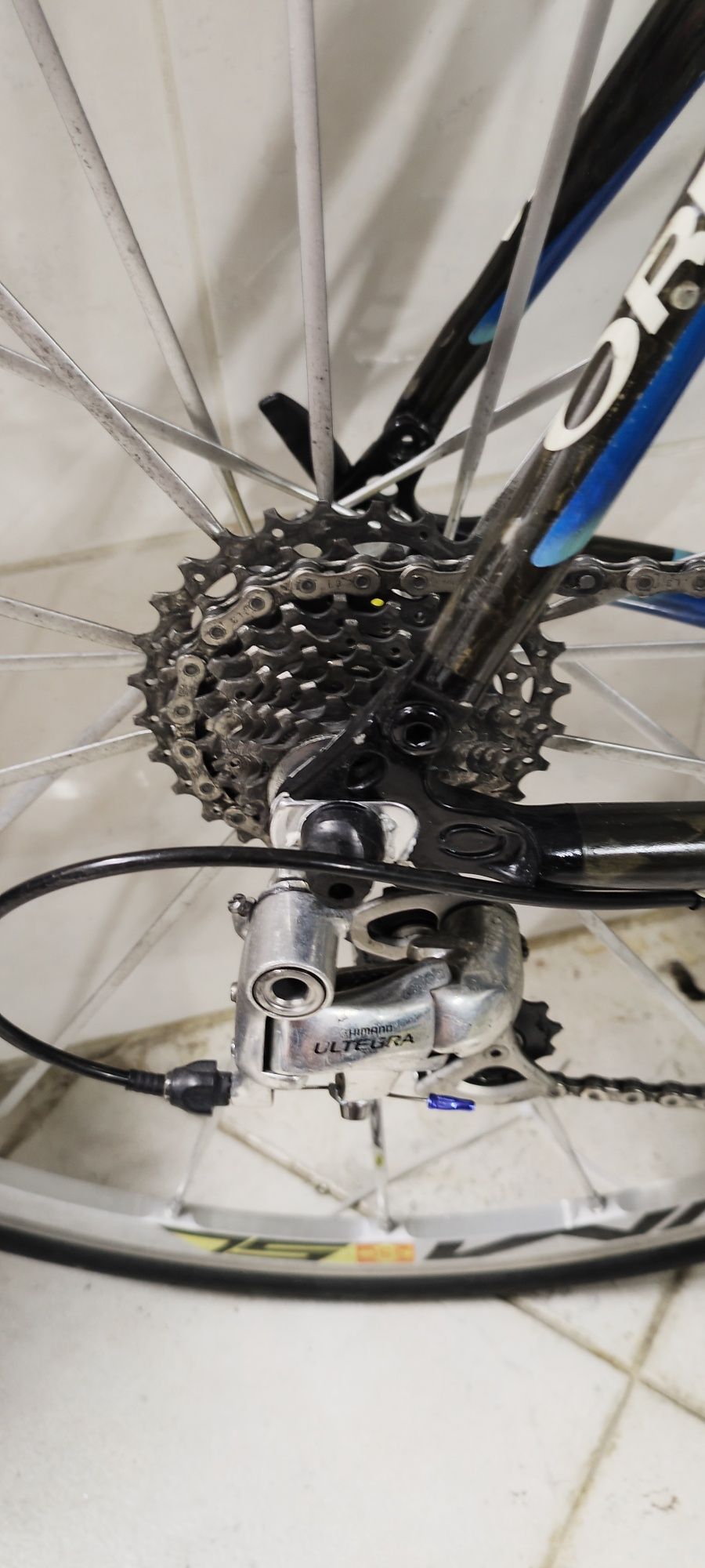 Orbea Orca Carbono 56 L