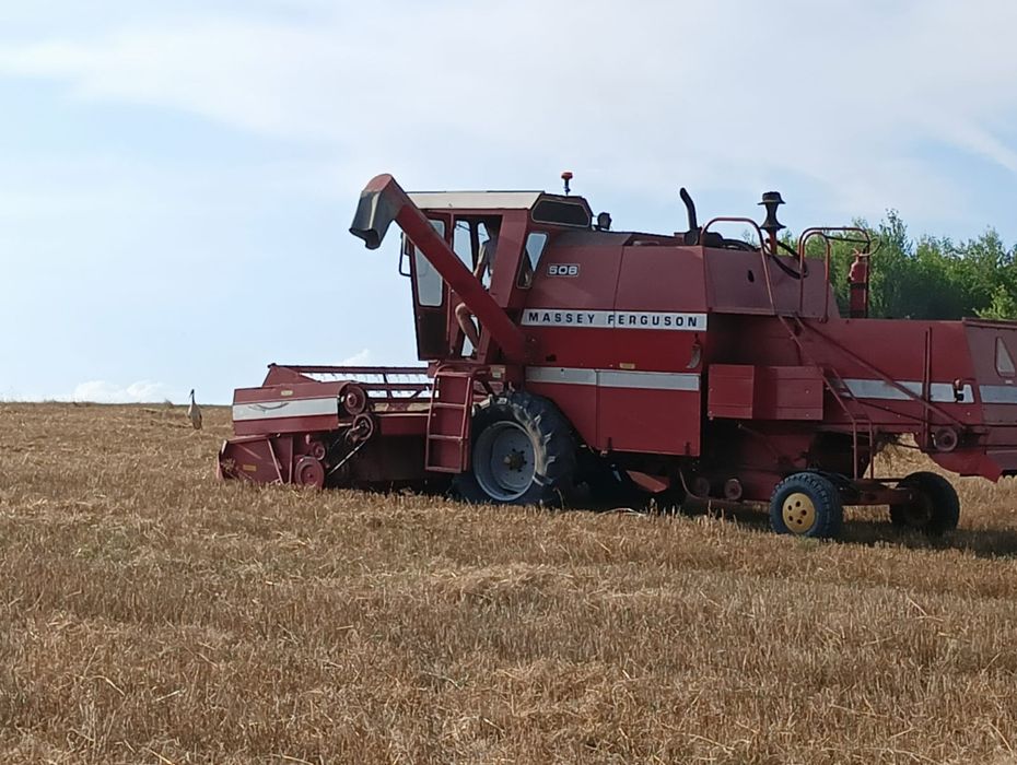 Massey ferguson 506,507,487,440