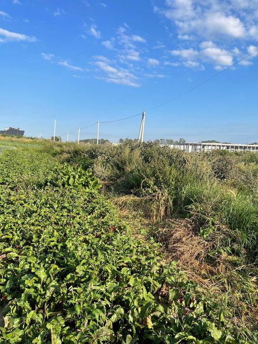 Три земельні ділянки біля Львова/Земельна ділянка/Велика ділянка
