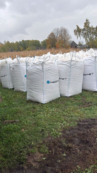 Kukurydza mielona ccm