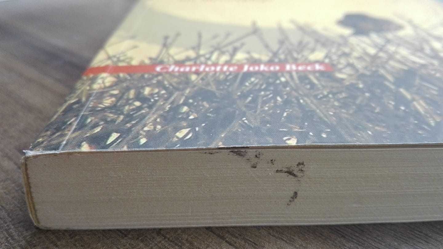 " Zen na co dzień " i " Żywy zen nic niezwykłego " kpl 2 szt Joko Beck
