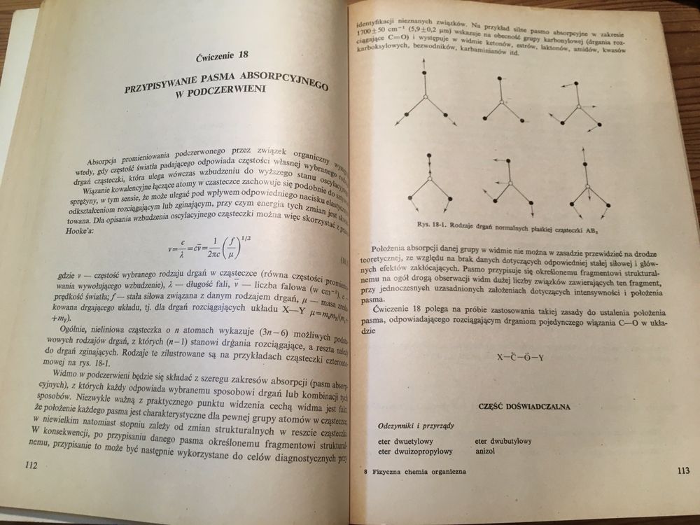 Fizyczna chemia organiczna ćwiczenia - Neil S. Isaacs