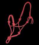 Halter dla konia