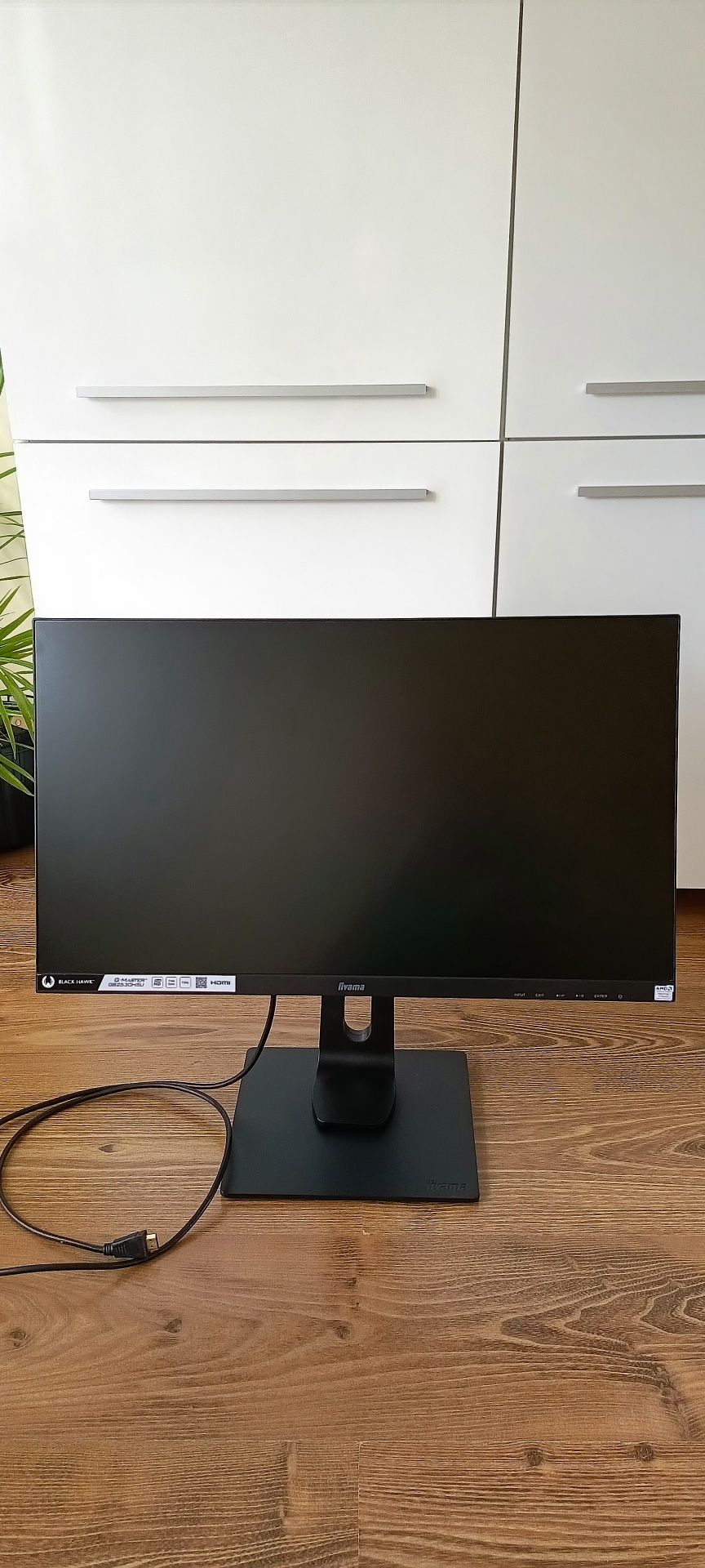 Monitor gamingowy Iiyama G-Master