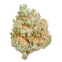 Lemon Haze susz konopny CBD (100g-10000g) 500g