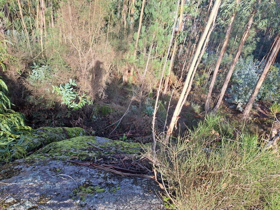 Vendo terreno rústico monte cordova com casa para restauro