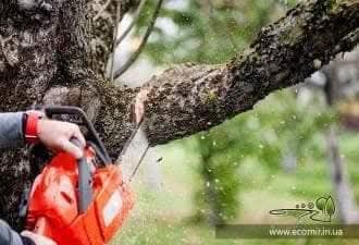 "ОБРІЗКА ДЕРЕВ"
*Зрізання аварійних дерев
*Обрізка сухих та гнилих гіл