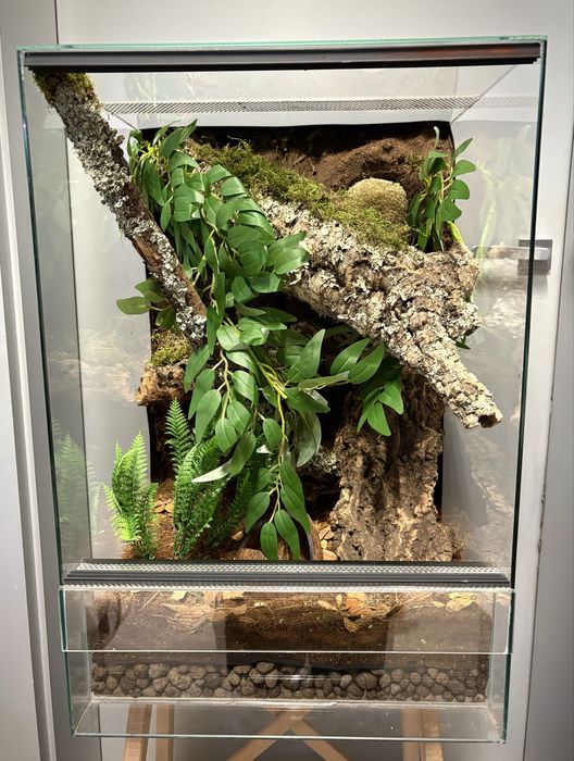 Terrarium 40x40x60cm dla gekona orzesionego