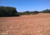 Terreno  Venda em Vilar de Ossos,Vinhais